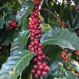 Nossa Estrutura - Carpe Diem